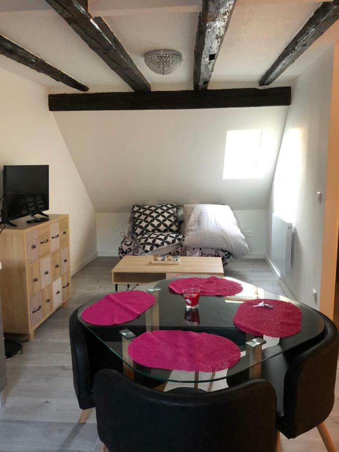 Duplex Hyper Centre Colmar Daire Dış mekan fotoğraf